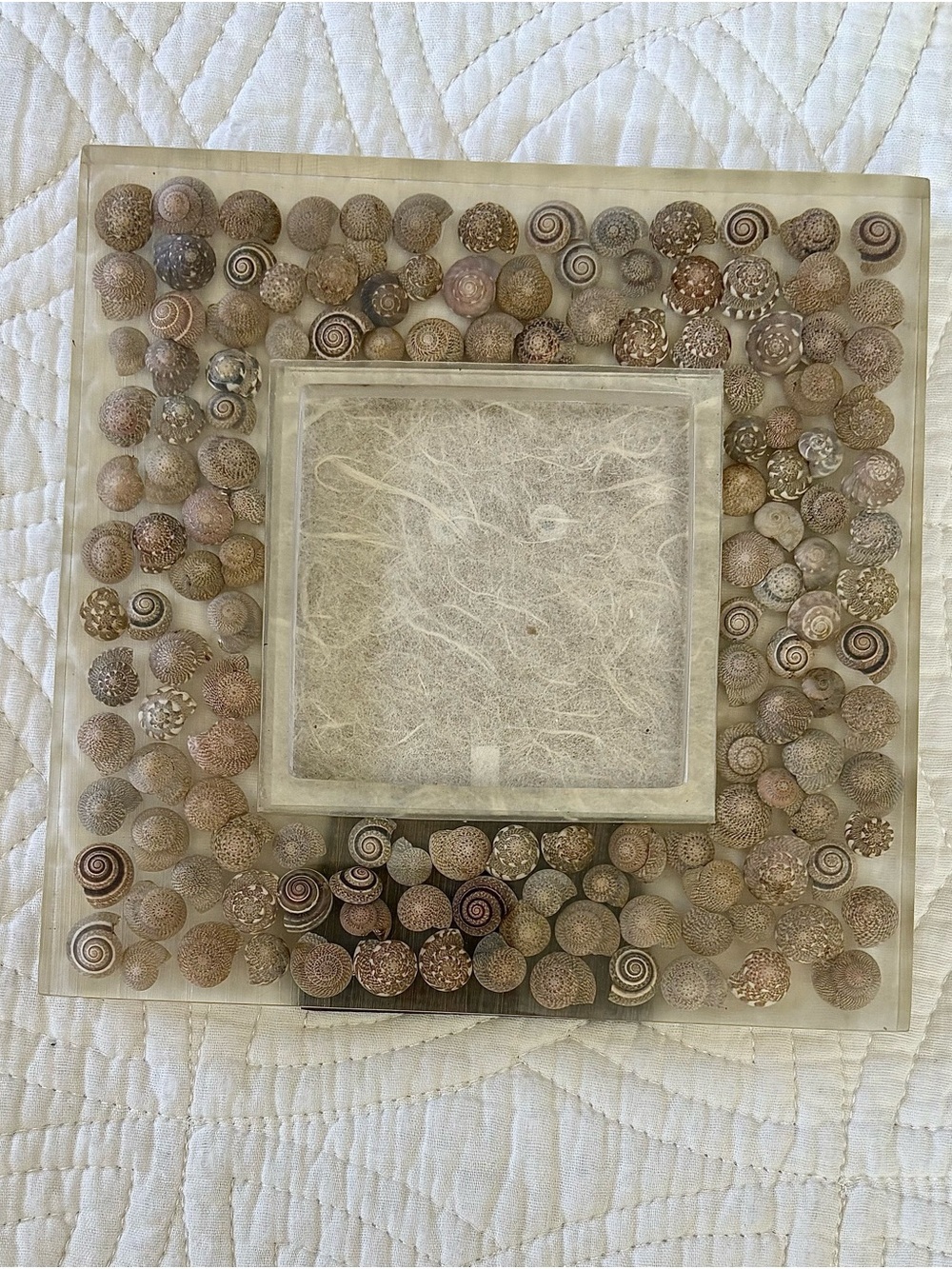 Seashell Acrylic Picture Frame 🐚 - Picture 6 of 12